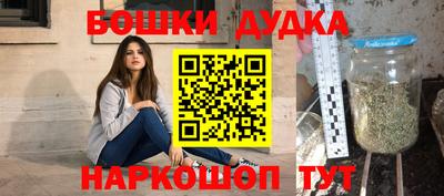 spice Бийск