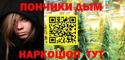 гидра Беслан