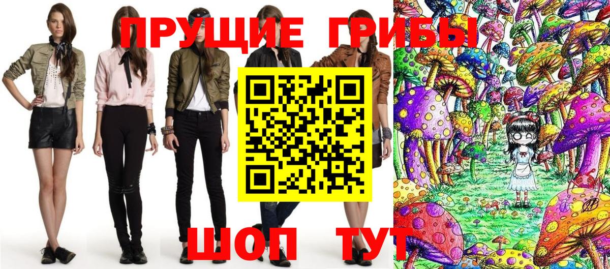 Кировск  магазин продажи наркотиков  Галлюциногенные грибы Cubensis  Вход с VPN  Галлюциногенные грибы MAGIC MUSHROOMS 